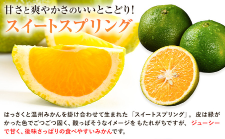 【先行予約】スイートスプリング5kg《2026年12月上旬-2027年1月下旬頃出荷予定》都呂々みかん