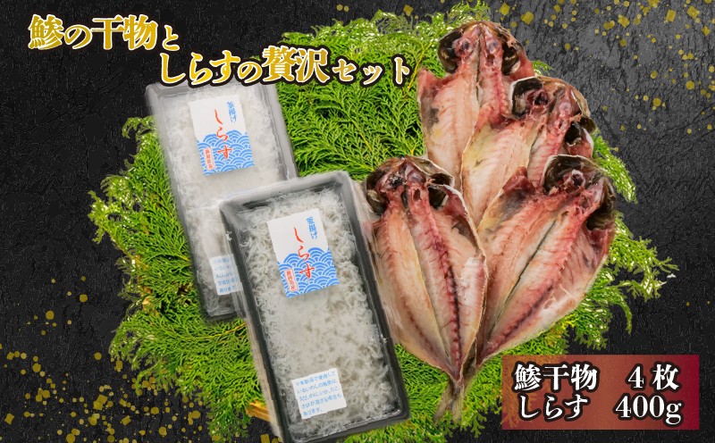 
            干物 しらす セット あじ アジ 4枚 釜揚げシラス 400g 詰め合わせ 本場 静岡 沼津 静岡県 コスパ ランキング 美味しい 極上 ひもの 人気 国産 高級 
          