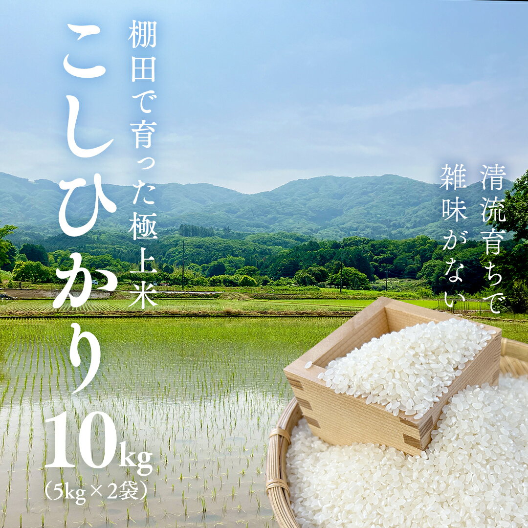 【ふるさと納税】《 令和7年産 先行予約 》棚田で育った極上米 こしひかり 10kg ( 5kg × 2袋 ) 米 お米 白米 コメ ごはん 精米 コシヒカリ 国産