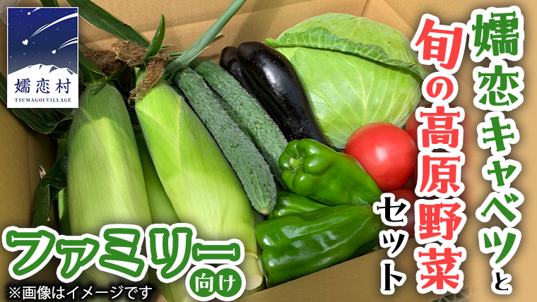 【9/10入金確認分まで】 嬬恋 キャベツ と旬の 高原 野菜 セット 4人様 ファミリー向け 旬の野菜 先行予約 きゃべつ 群馬 419 嬬恋キャベツ 産地直送 詰め合わせ アソート [AK002tu]