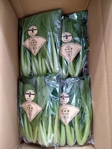 明野とまとセットと有機野菜おまかせ6種のコラボセット０２ トマト ケチャップ ジュース 有機野菜 おまかせ 6種 バラエティ セット 新鮮 九州屋ファーム 明野 野菜 山梨県 北杜市   [h216]