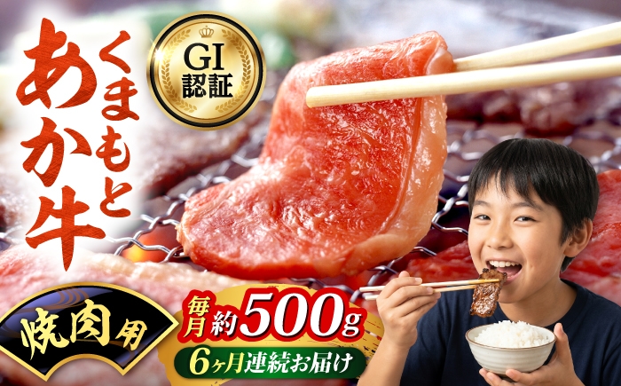 
                  【全6回定期便】GI認証 くまもとあか牛 焼肉用 約500g 和牛 牛肉 焼肉 冷凍【阿蘇牧場】 [AYBX108]
                