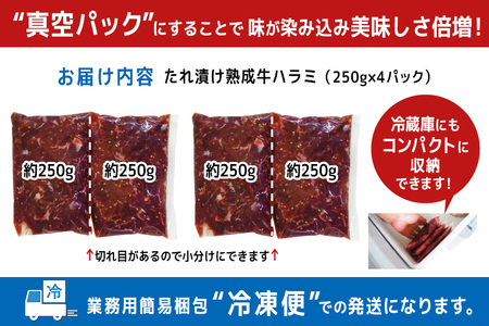 熟成牛ハラミ 1kg (250g×4パック) たれ 味付 小分け 冷凍 焼肉 焼き肉 牛 牛肉 ビーフ ハラミ BBQ 【そうざい男しゃく（株式会社池延）】【ho1468】