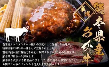 あか牛100%生ハンバーグ 20個  あか牛