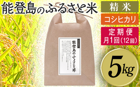【定期便】能登島のふるさと米 コシヒカリ5kg 精米定期便 月1回（12回） | こめ 国産 訳あり 生活応援価格 ご家庭用 石川県 七尾市 14日以内に発送 ※9月以降発送分については令和8年産をお送りします。