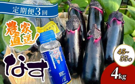 【定期便3回発送】農家直送　土佐の美味茄子の新鮮ナス　４kg　（室戸海洋深層水にがり使用） 野菜 なす ナス 常温 小袋 国産 夏野菜 茄子 小分け 旬 40500円 高知 頒布会