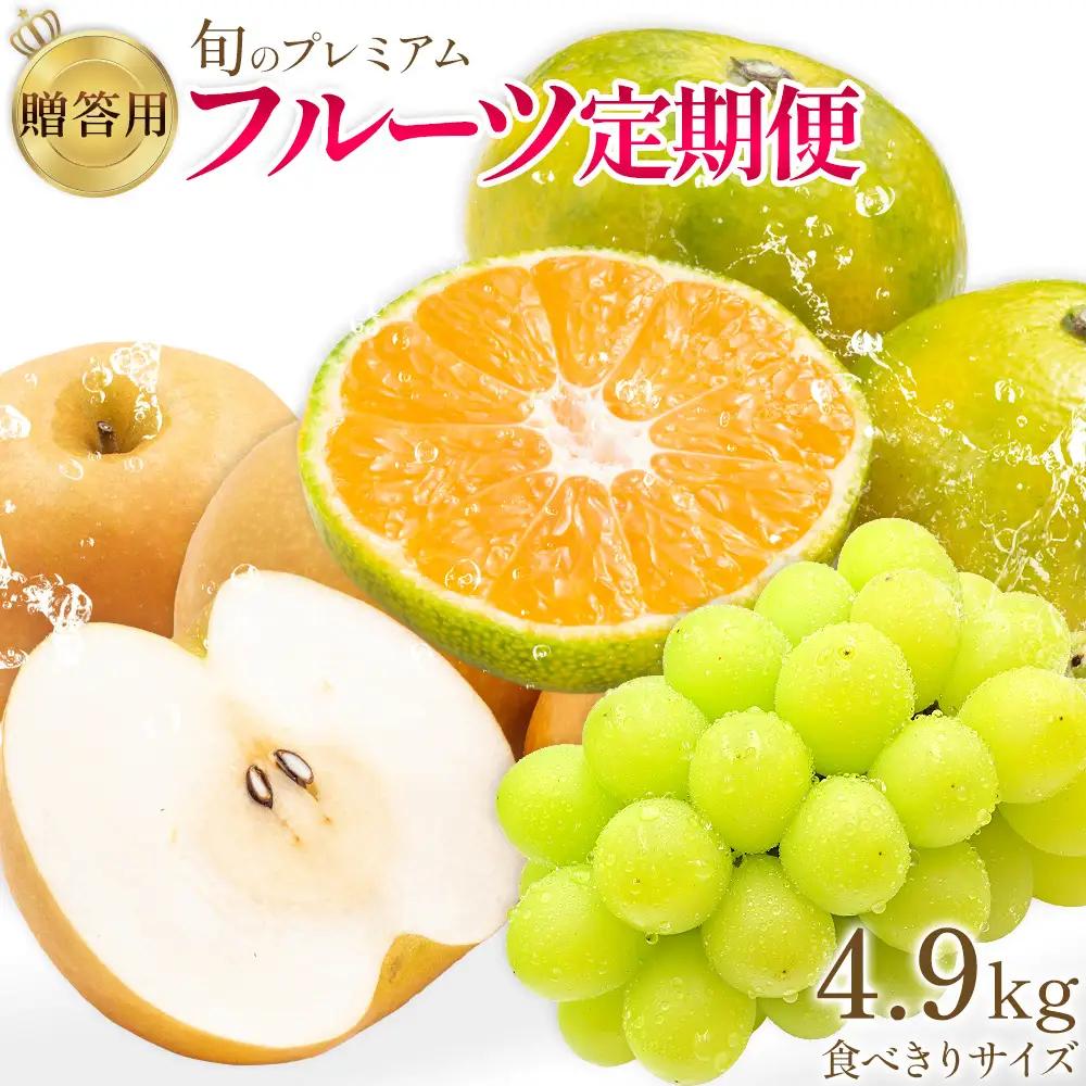 旬の プレミアム フルーツ 定期便 3ヶ月連続 秀品 ミニ 計4.9㎏ 日本フルーツ株式会社《8月上旬-10月末頃出荷》熊本県 荒尾市 シャインマスカット おまかせ 梨 極早生みかん 果物 フルーツ スイーツ デザート ギフト ご贈答
