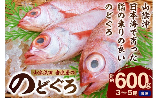 山陰浜田 香住屋の「のどぐろ」煮付け・塩焼き用（3～5尾・600g） アカムツ のどぐろ 煮付け 塩焼き 下処理済 【024_1978】