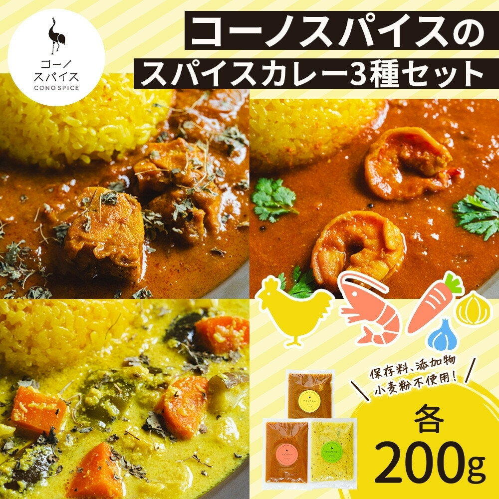 【ふるさと納税】コーノスパイス スパイスカレー3種セット チキンカレー エビカレー ベジタブルカレー 各200gパック 小麦粉不使用 グルテンフリー CONO SPICE コーノコーラ 愛知県 名古屋市
