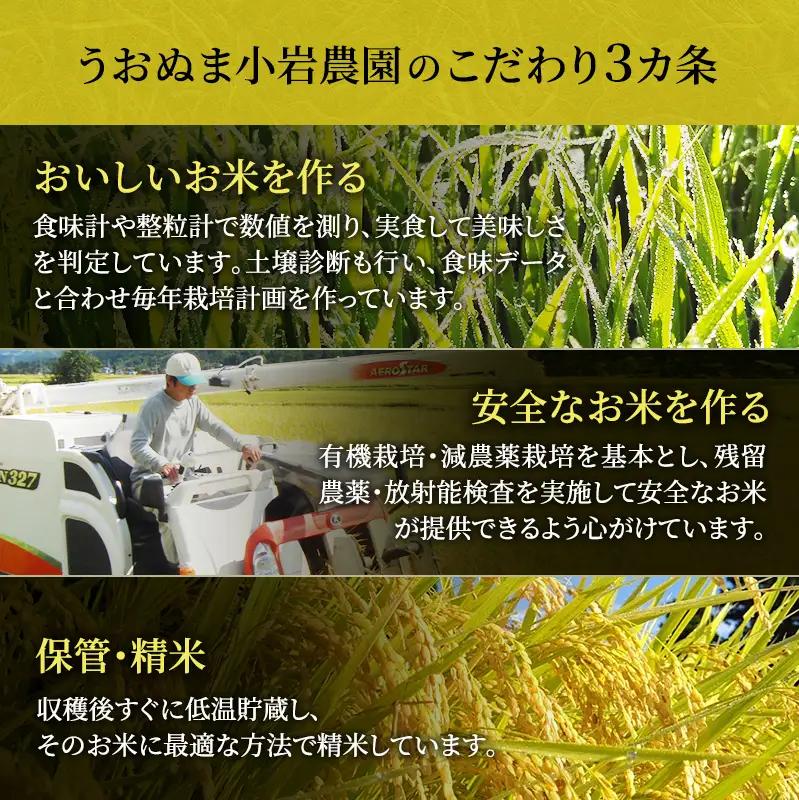 無洗米 定期便 3ヶ月 コシヒカリ 5kg 米 白米 お米 魚沼産コシヒカリ 新潟米 新潟 魚沼市 定期 3回