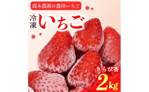 冷凍 いちご 苺 2kg以上 完熟 きらぴ香  ヘタ取り いちご 静岡 限定 苺 冷凍いちご きらぴ香 果物 スイーツ いちご 牧之原市 デザート フルーツ スイーツ アイス ジャム シャーベット ベリー 氷菓 冷凍 甘い オススメ ギフト 人気 牧之原市 森木農園