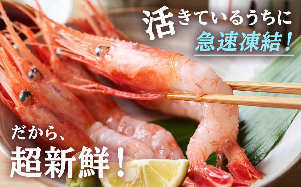 甘海老 北海道 虎杖浜産 約600g 生 えび エビ アマエビ あまえび 海老 虎杖浜 国産 白老 AA032