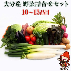 【定期便3回】【JA直売所直送】春夏秋冬野菜セット | 毎月届く 旬野菜 野菜 やさい ヤサイ 旬 国産 国産野菜 定期 定期便 3回 大分県 中津市