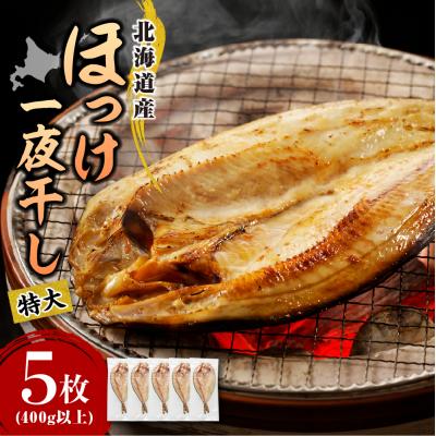 ふるさと納税 えりも町 えりも【マルデン特製】特大・北海道産塩ホッケ5枚(400g以上)【er002-103】