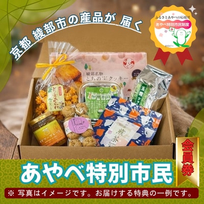 京都・綾部のふるさと応援団「あやべ特別市民」会員券【1091308】