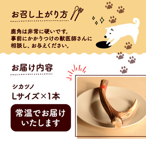 シカツノ Lサイズ 鹿の角(犬 歯磨き ペット用品 おもちゃ