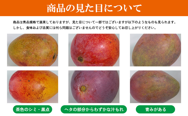 【2026年発送】マンゴー家庭用　約１kg 期間限定 数量限定 先行予約 フルーツ 果物 南国 プレゼント お土産 おみやげ ギフト スイーツ 贈答 冷蔵 人気 おすすめ デザート 青果 おきなわ 季
