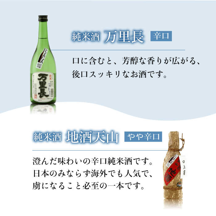 THE SAGA認定酒 純米酒 おまかせ2本セット 720ml×2本 吉野ヶ里町/ブイマート・幸ちゃん [FAL064]