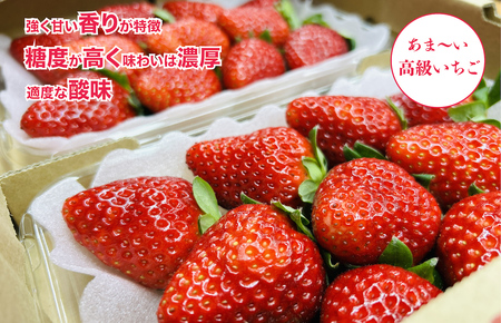 【数量限定】苺 古都華(ことか) 奈良県ブランドいちご 約270g x 6パック 計1620g かたおかの苺