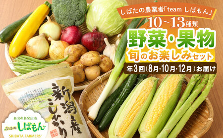 野菜 10～3品目野菜セット 年3回 定期便 野菜 野菜 野菜 野菜 野菜 C17_01