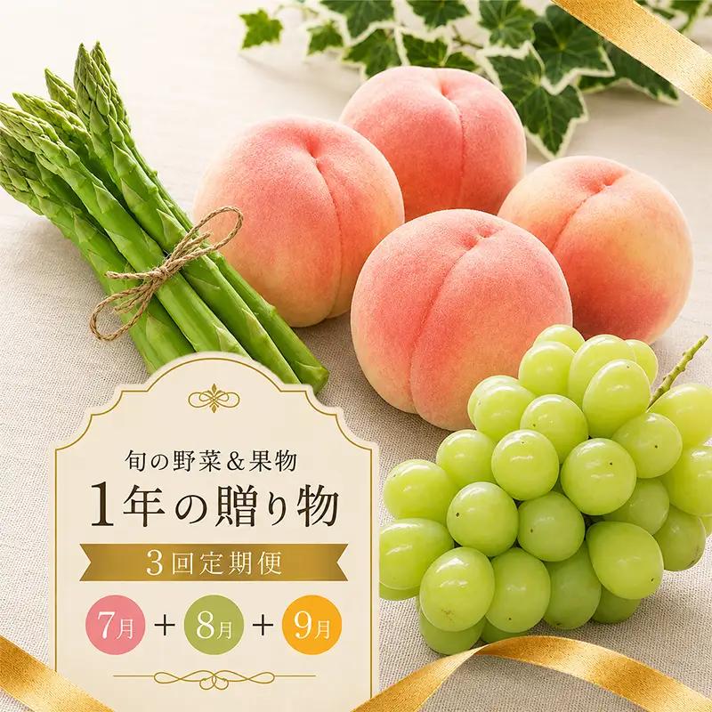 【定期便3回】 桃 マスカット アスパラ 定期便