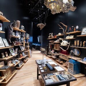 美術館 角川武蔵野ミュージアム スタンダードチケット 1枚 | 博物館 美術館