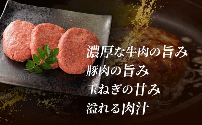 博多和牛入り黄金ハンバーグ