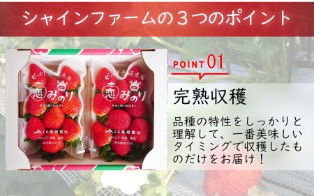 【期間限定発送】 いちご 恋みのり 2パック（500g以上） 2Lサイズ以上 シャインファームから直送 [吉岡青果 長崎県 雲仙市 item1500] イチゴ 苺 果物 くだもの フルーツ 数量限定 