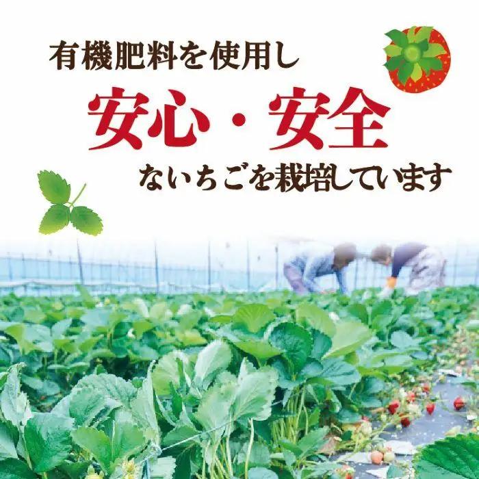 【2027年4月出荷予定】訳あり あまおう 280g×6パック(約1680g)＜配送不可：北海道、沖縄県、離島＞