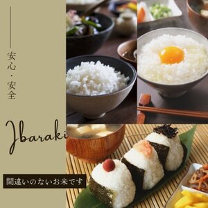 【茨城県産】2025年新米 茨城県産 コシヒカリ米(精米)5kg【配送不可地域：離島・沖縄県】【1696591】