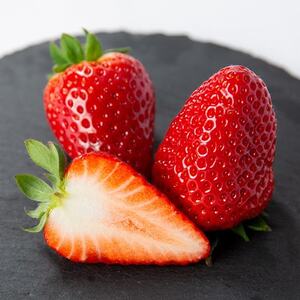 奈良県産いちご　古都華　化粧箱入り4パック【12月中旬から発送】_果物・フルーツ いちご  イチゴ 苺_【配送不可地域：離島・北海道・沖縄県】【1253923】