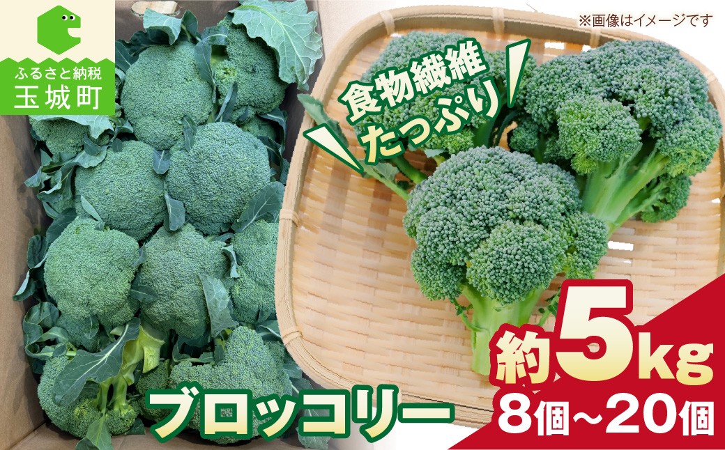 
                  【先行予約】 ブロッコリー 約5kg 8個～20個 野菜 三重県 玉城町【2026年12月上旬～2027年2月下旬頃まで順次発送予定】
                