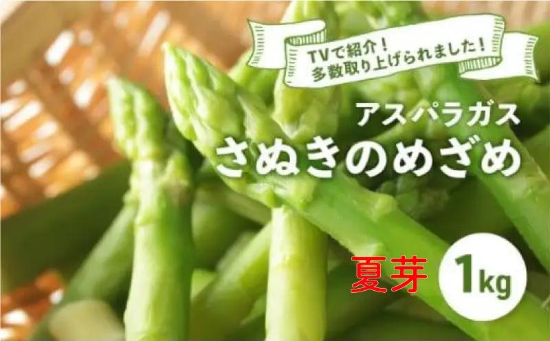 【先行予約】 アスパラガス さぬきのめざめ 夏芽 1kg  香川県 丸亀市 