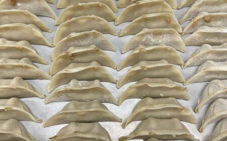 冷凍餃子　50個セット　【光楽】[AKGZ001]