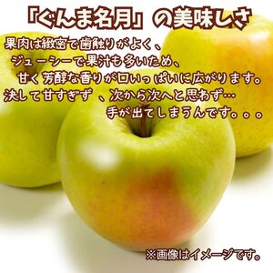 信州まると農園の【訳あり】完熟りんご ぐんま名月 3kg