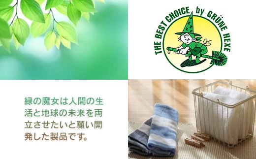 緑の魔女 泡タイプバス 400ml(詰め替え用)×24本セット | 洗剤 液体 環境配慮 バス用 浴槽 湯あか 大容量 1万件以上の口コミ 世界中で愛される ヌメリ 皮脂汚れ 中性タイプ 日常品 お風
