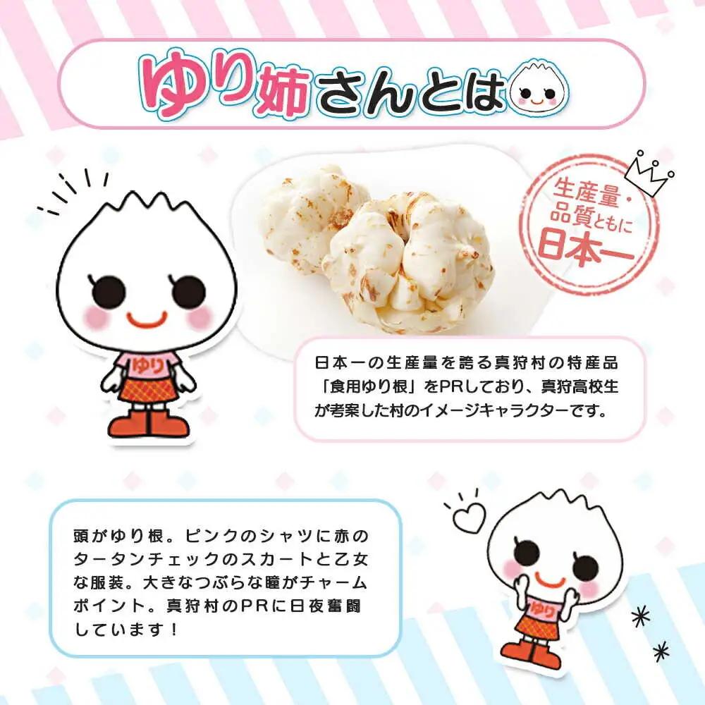 【真狩村イメージキャラクター】ゆり姉さん クリアファイルセット （透明・ピンク） | ゆるキャラ グッズ まっかり 真狩村 ファイル 文房具 ステーショナリー 北海道 | 真狩フラワーセンター[BPA