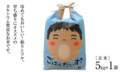 【 令和6年産 】カルシウム農法米 コシヒカリ 玄米 5kg ( 5kg × 1袋 ) (茨城県共通返礼品 かすみがうら市) 米 ごはん 粘り ツヤ カルシウム コメ お米 玄米 [EX007sa]