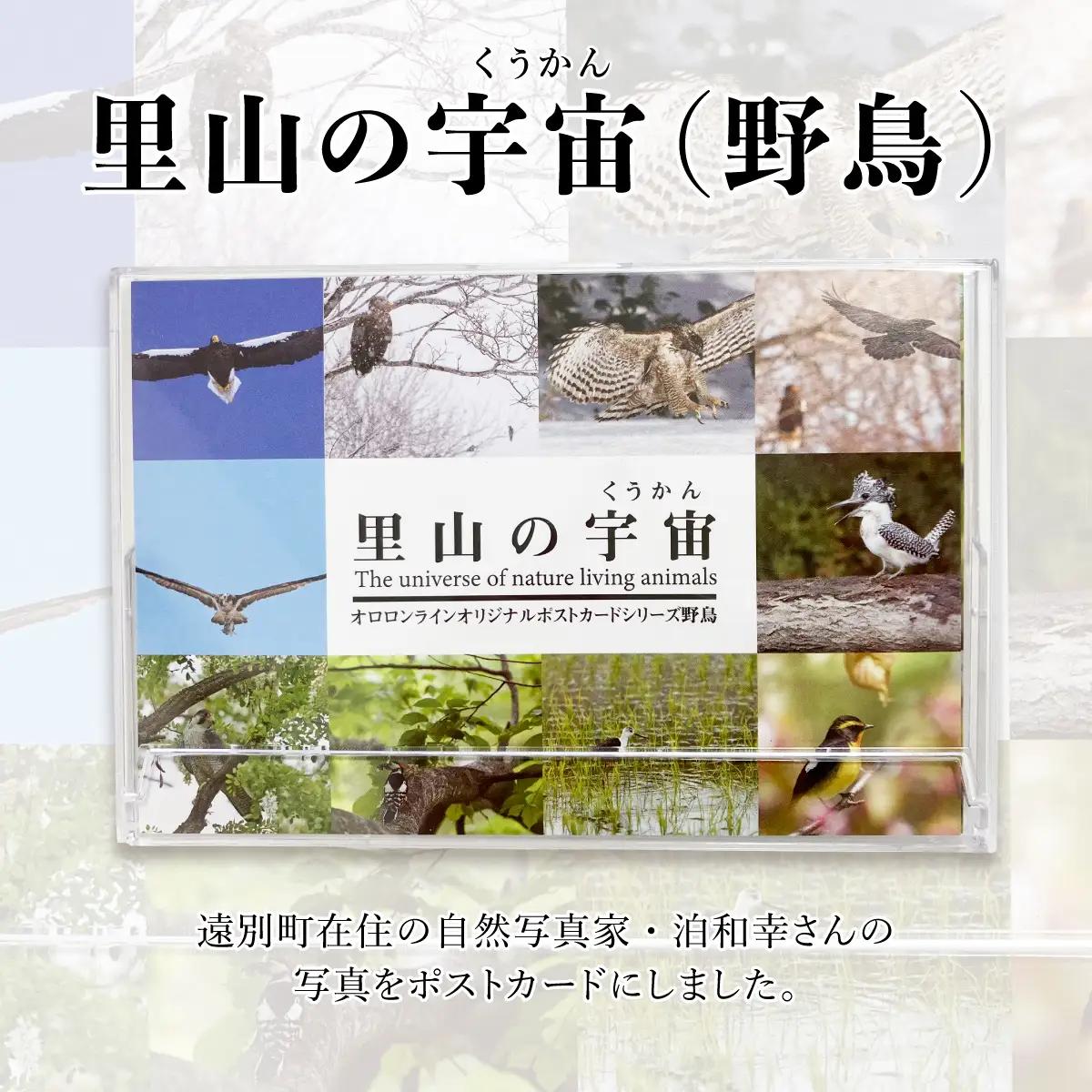 【野生塾　泊和幸】ポストカードセット　里山の宇宙（野鳥）