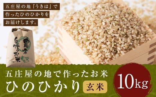 【特Aランク米】五庄屋の地で作ったお米 ひのひかり 玄米 (10kg) 【2025年10月下旬より順次発送予定】 ヒノヒカリ こめ コメ ごはん ご飯 福岡県うきは市産 九州産