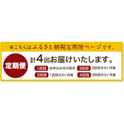 ふるさと納税 氷川町 「堀内製油」のえごま油 105g×2本【定期便】3ヶ月に1回、計4回お届け