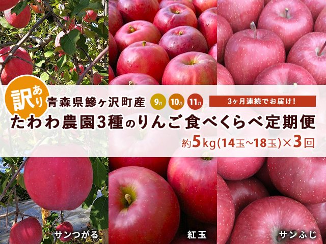 りんご 定期便 3ヶ月 青森 訳あり リンゴ 3種 サンつがる 紅玉 サンふじ 約5kg (14～18玉) 3回 たわわ農園 フルーツ 果物 定期 9月・10月・11月発送予定 ※オンライン決済限定