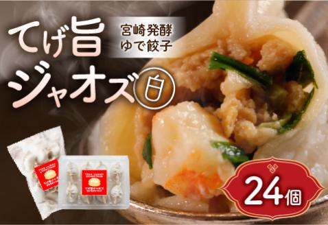 てげ旨ジャオズ【白】3食分（24個入）
