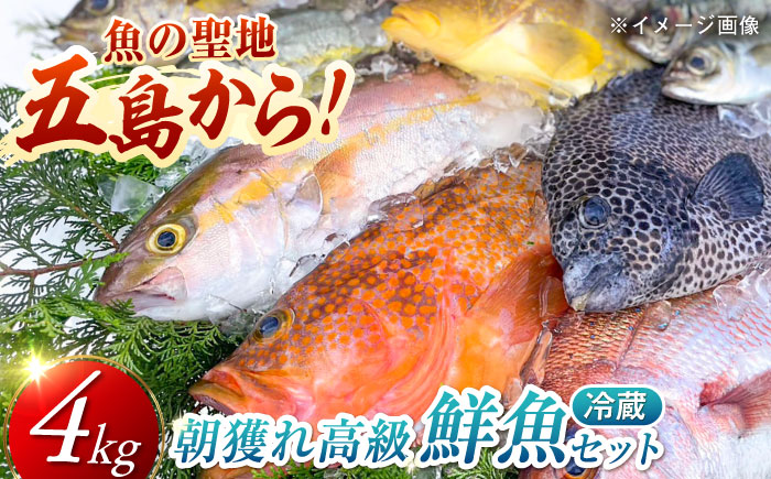 【五島列島・直送】朝獲れ！高級鮮魚セット4kg 五島市 / 鯛福丸水産 [PDP003]