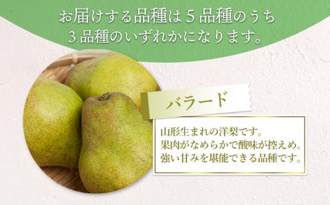 【令和6年産 先行予約】山形県鶴岡市産 洋梨定期便　3種類の洋梨をお届け　約3㎏×3 品種おまかせ