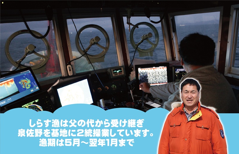 【お試し】しらす漁師が自らお届け！真面目漁師 濱ちゃんのこだわり ちりめん山椒しらす 300g 小分け 150g×2P G2908