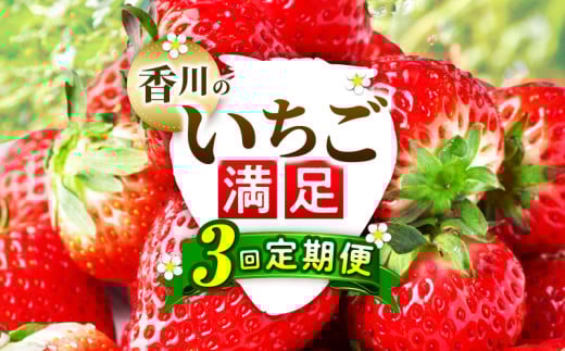 香川のいちご満足3回定期便_mk006-t010