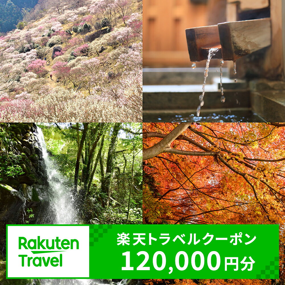 【ふるさと納税】神奈川県湯河原町の対象施設で使える楽天トラベルクーポン　寄付額400,000円