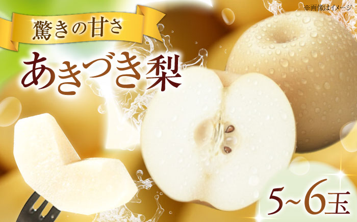 フルーツ松本のあきづき梨 5～6玉入り 〈2026年9月～発送〉 ／ フルーツ 果物 くだもの 食品 人気 おすすめ 送料無料 梨 なし あきづき梨 季節のフルーツ 【株式会社内子フレッシュパークからり】 [BKAD054]