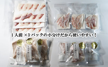 真鯛 4種 セット 小分け パック 真鯛 